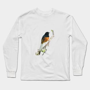 Beautiful White-rumped Shama Thrush, Bird Long Sleeve T-Shirt